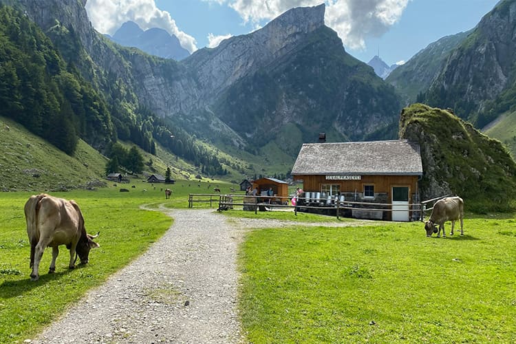 Fotobox Ostschweiz